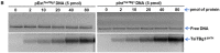 Figure 5B