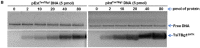 Figure 5B