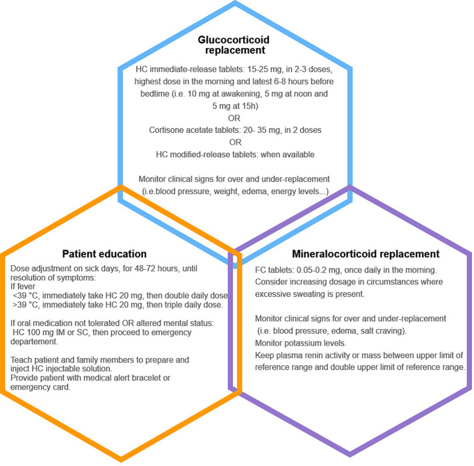 Figure 3