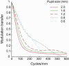 Fig. 10