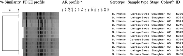 Fig 4