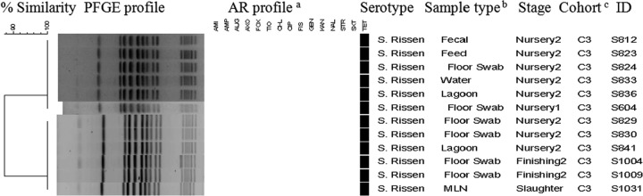 Fig 5