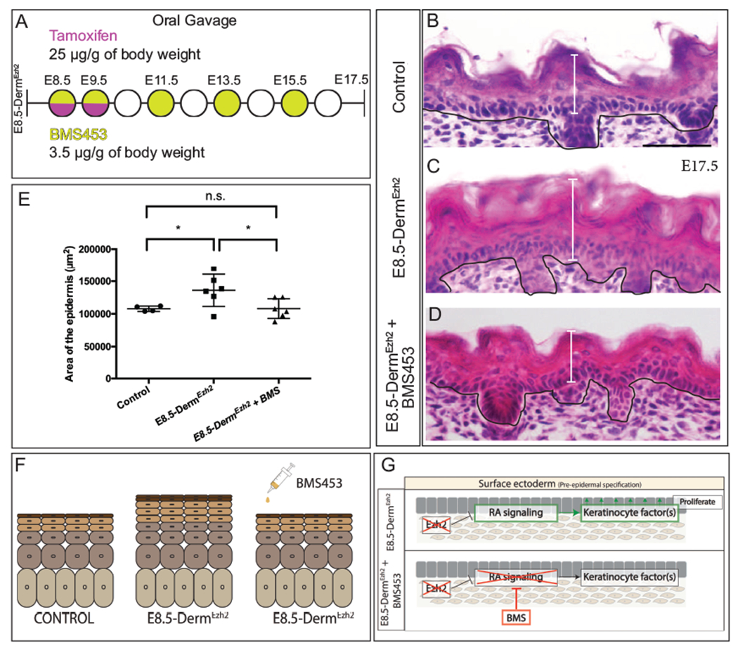 Figure 6: