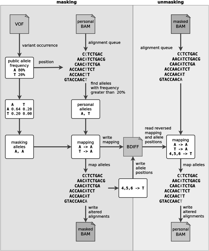 Fig. 11