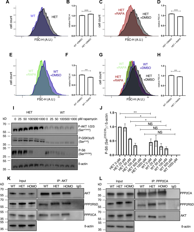 Figure 6