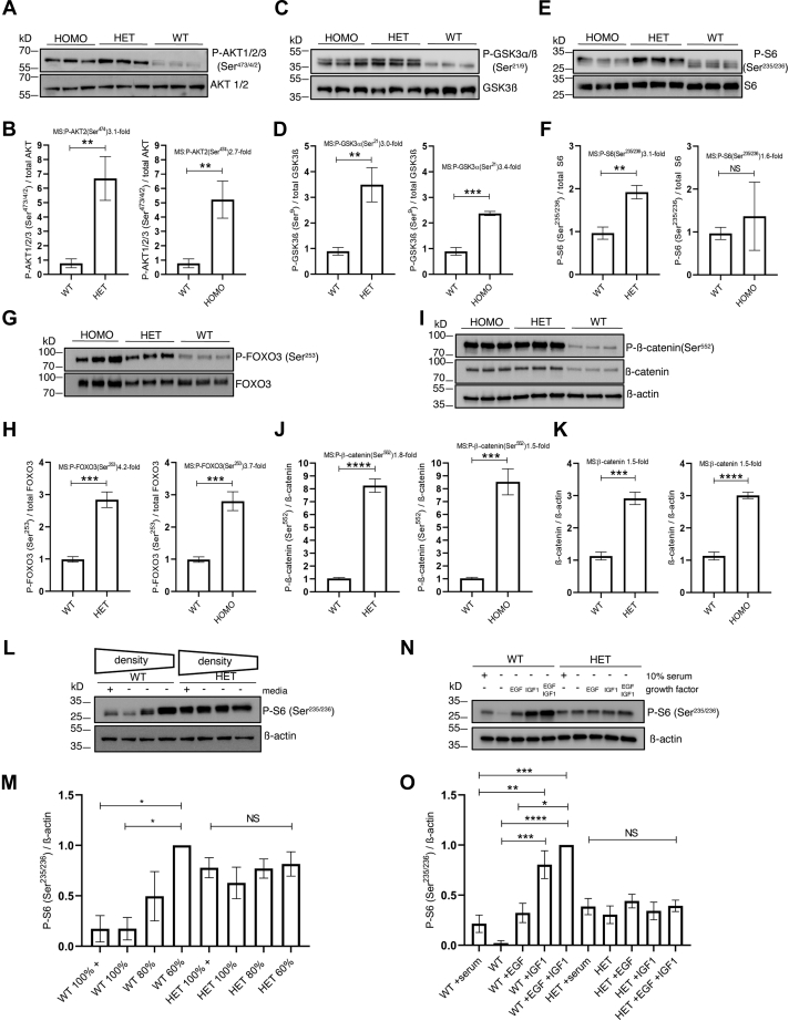 Figure 5