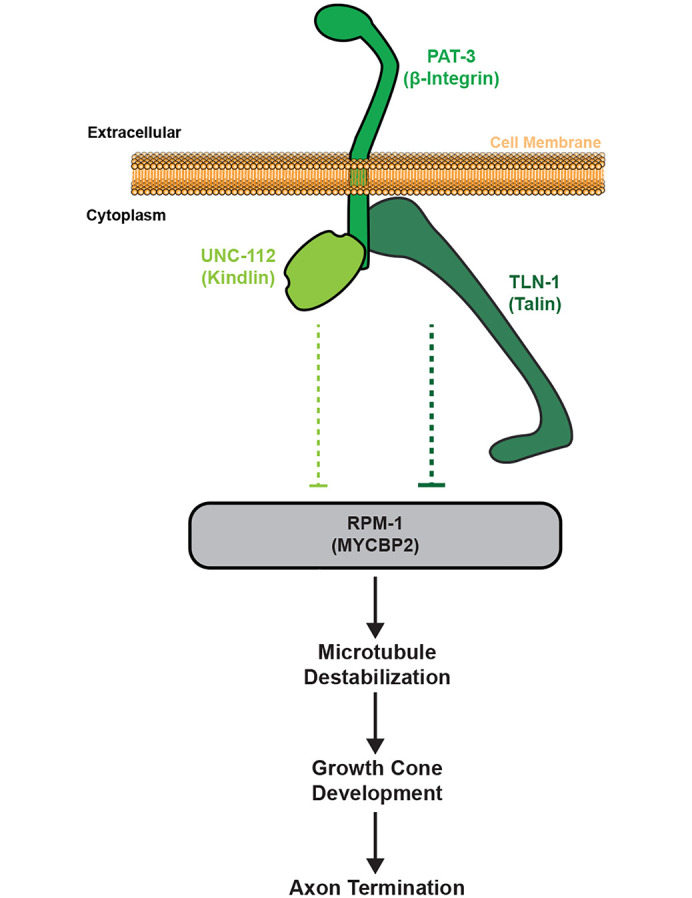 Fig 9