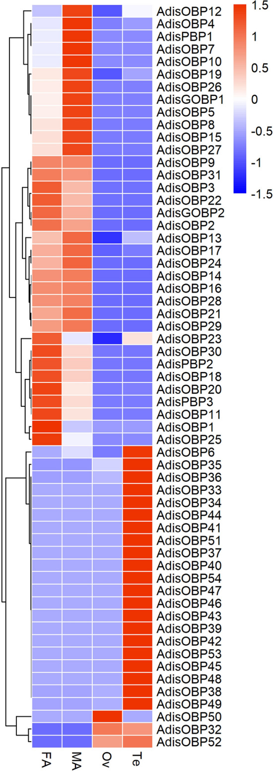 Figure 5