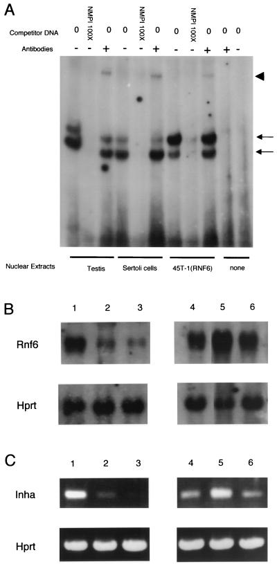 FIG. 7.