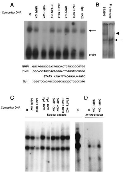 FIG. 5.