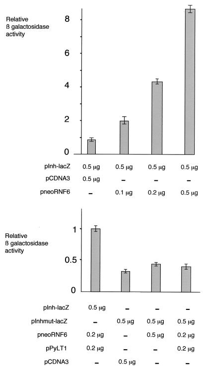 FIG. 6.