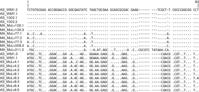 Fig. 1. 