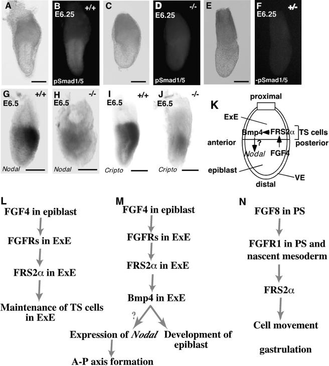 FIG. 7.