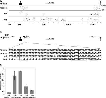 Figure 6.