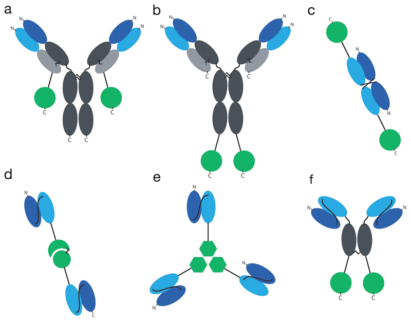 Fig. 1