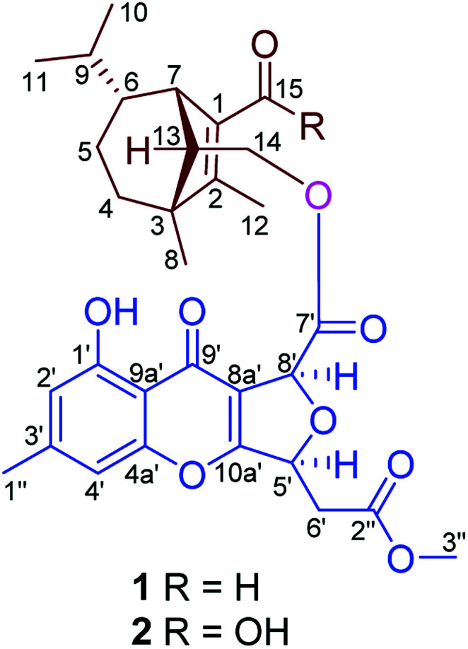 Fig. 2