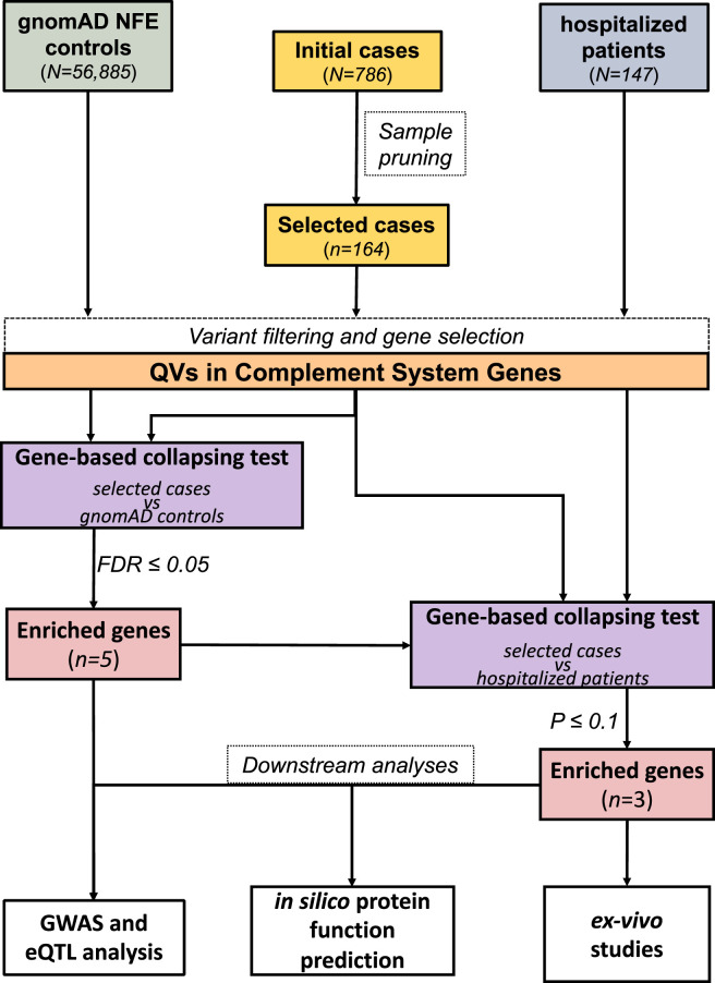 Figure 1