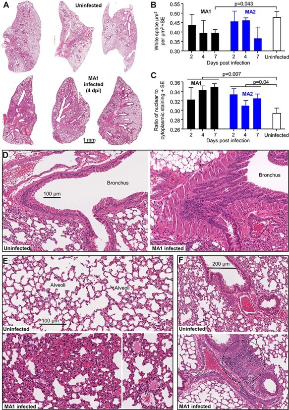 Figure 6.