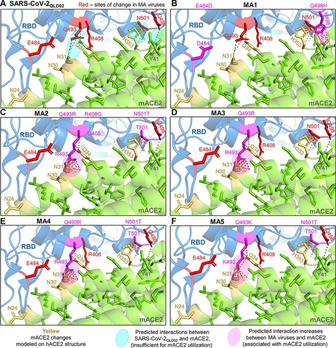 Figure 3.