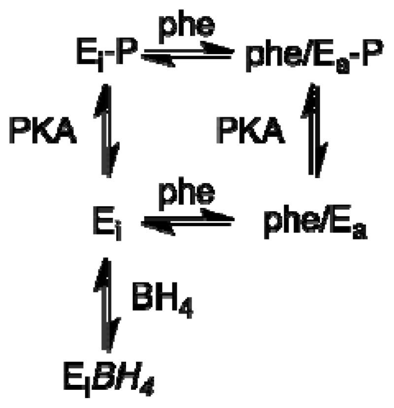 Scheme 3