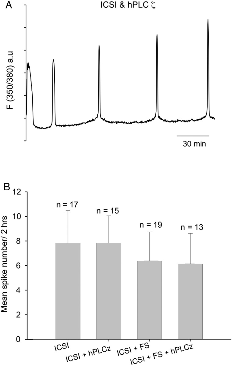 Figure 4