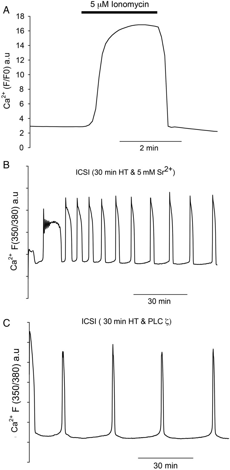 Figure 3