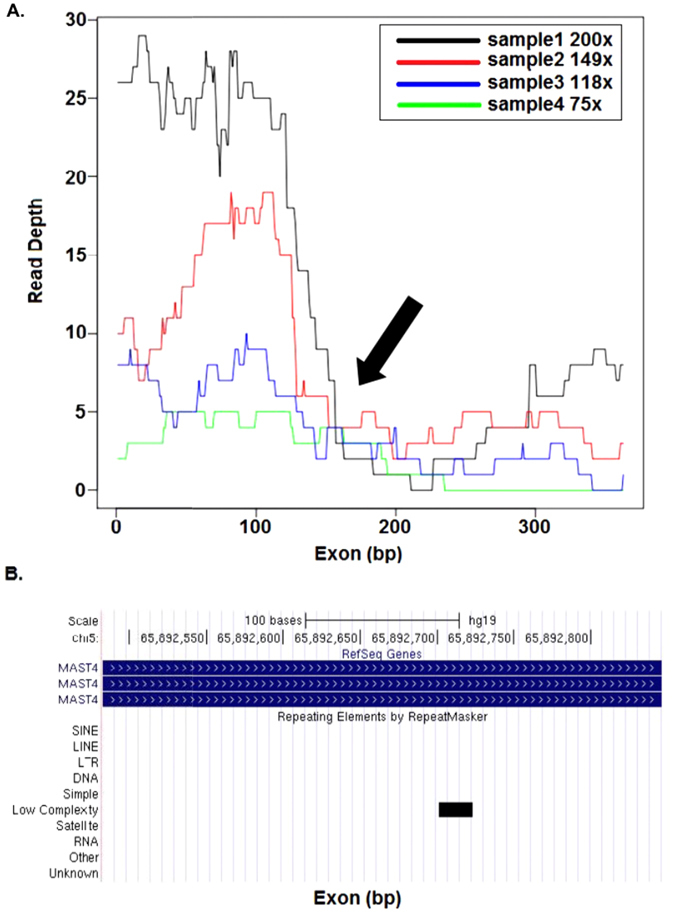 Figure 5