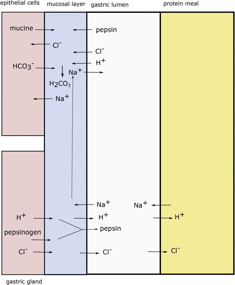 Fig. 7