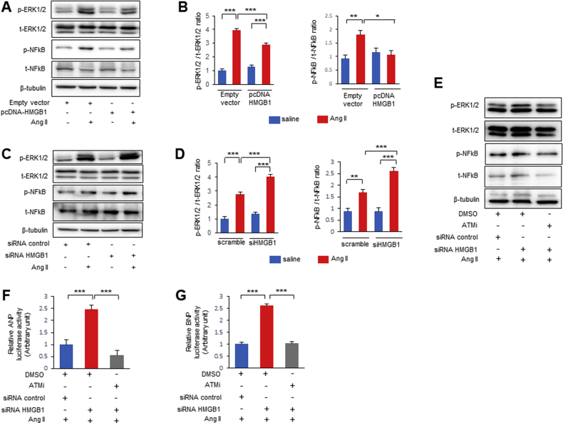 Figure 6