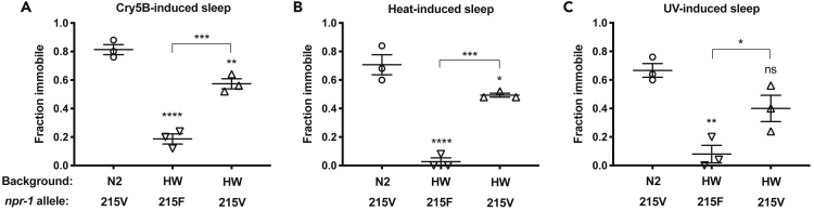 Figure 5