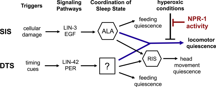 Figure 7