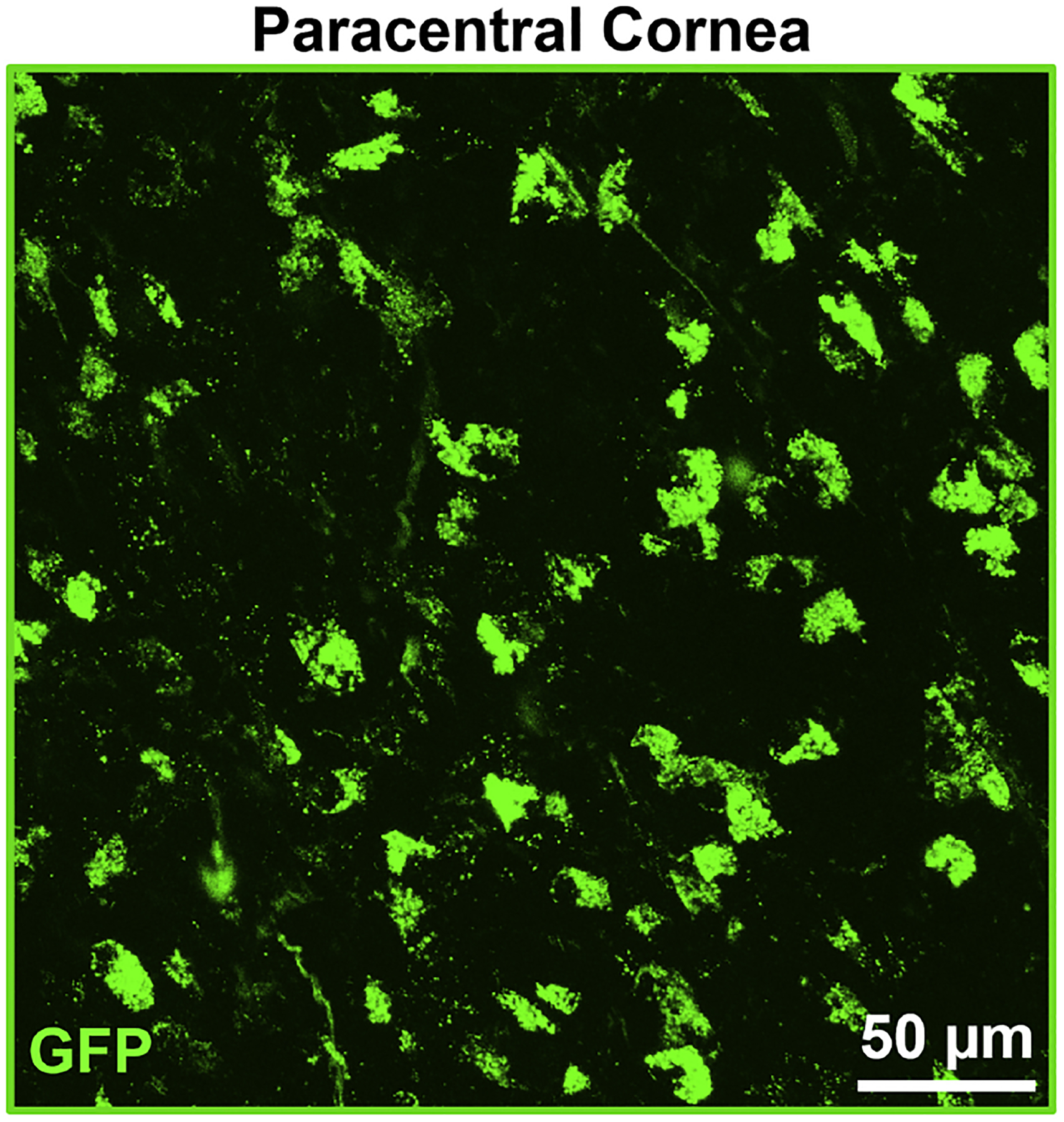 Figure 10.