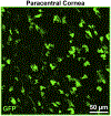 Figure 10.