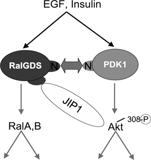 FIG. 9.