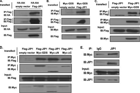 FIG. 6.