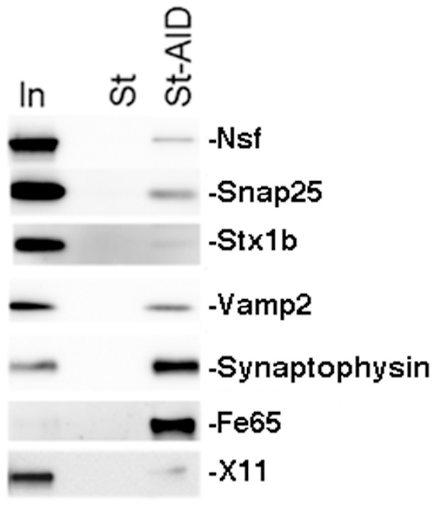 Figure 9