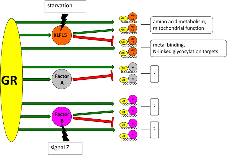 Fig 7