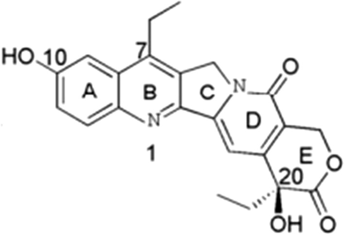 Fig. 1