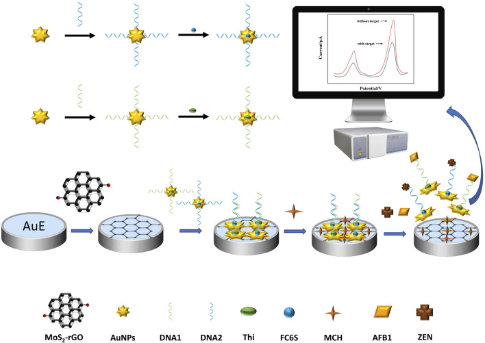 FIGURE 1