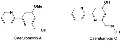 graphic file with name antibiotics-11-01238-i014.jpg