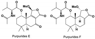 graphic file with name antibiotics-11-01238-i002.jpg