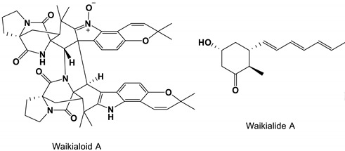 graphic file with name antibiotics-11-01238-i013.jpg