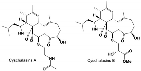 graphic file with name antibiotics-11-01238-i015.jpg