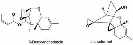 graphic file with name antibiotics-11-01238-i017.jpg