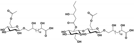 graphic file with name antibiotics-11-01238-i010.jpg