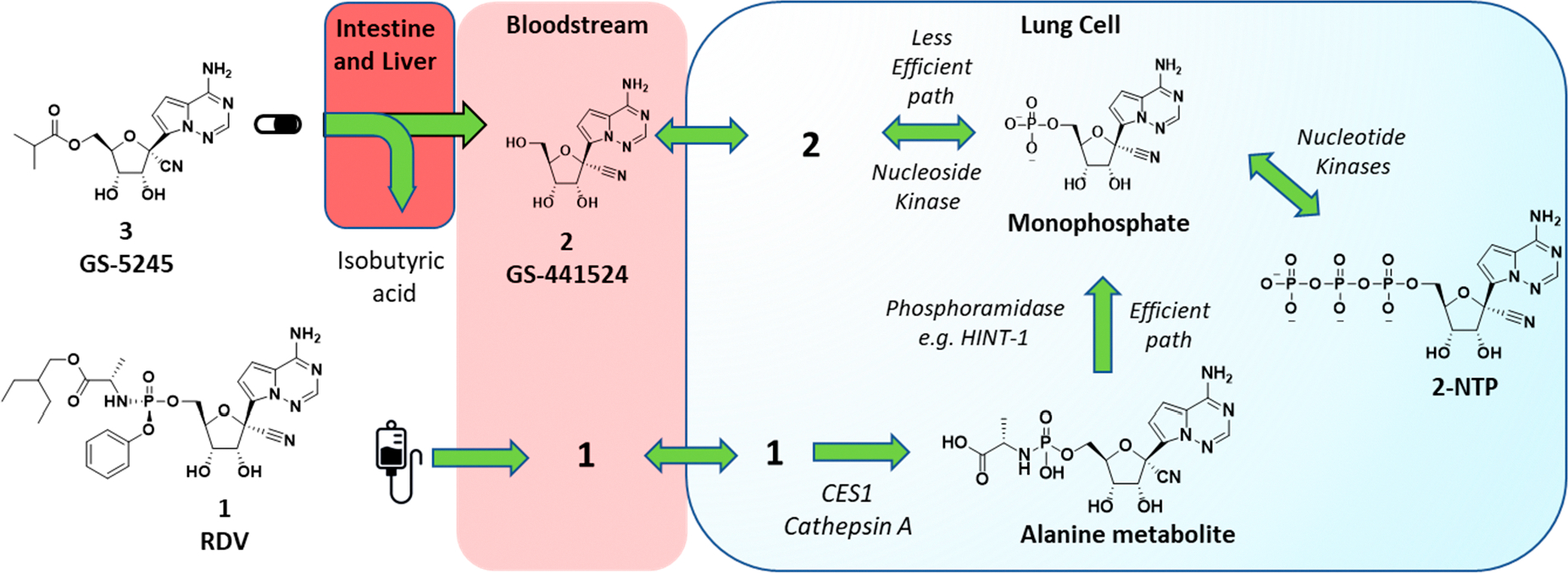 Figure 1.