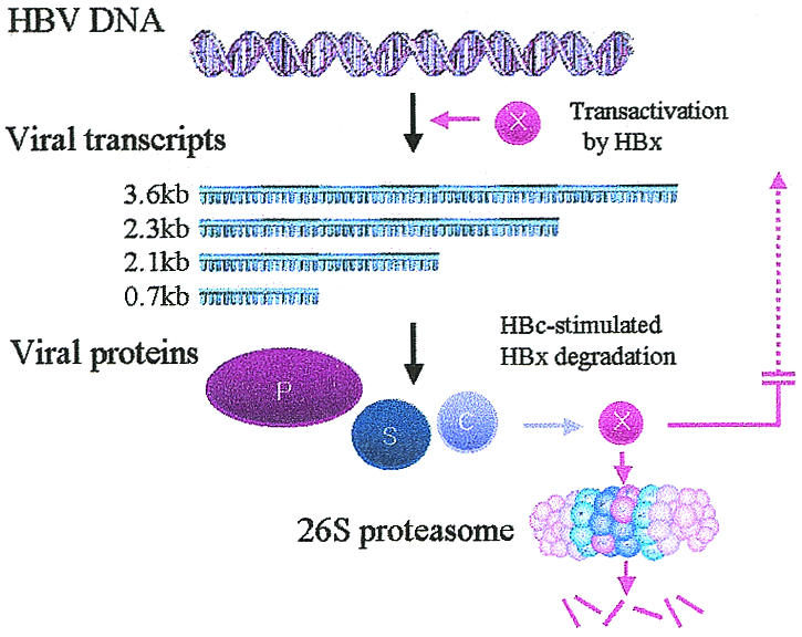 FIG. 7.