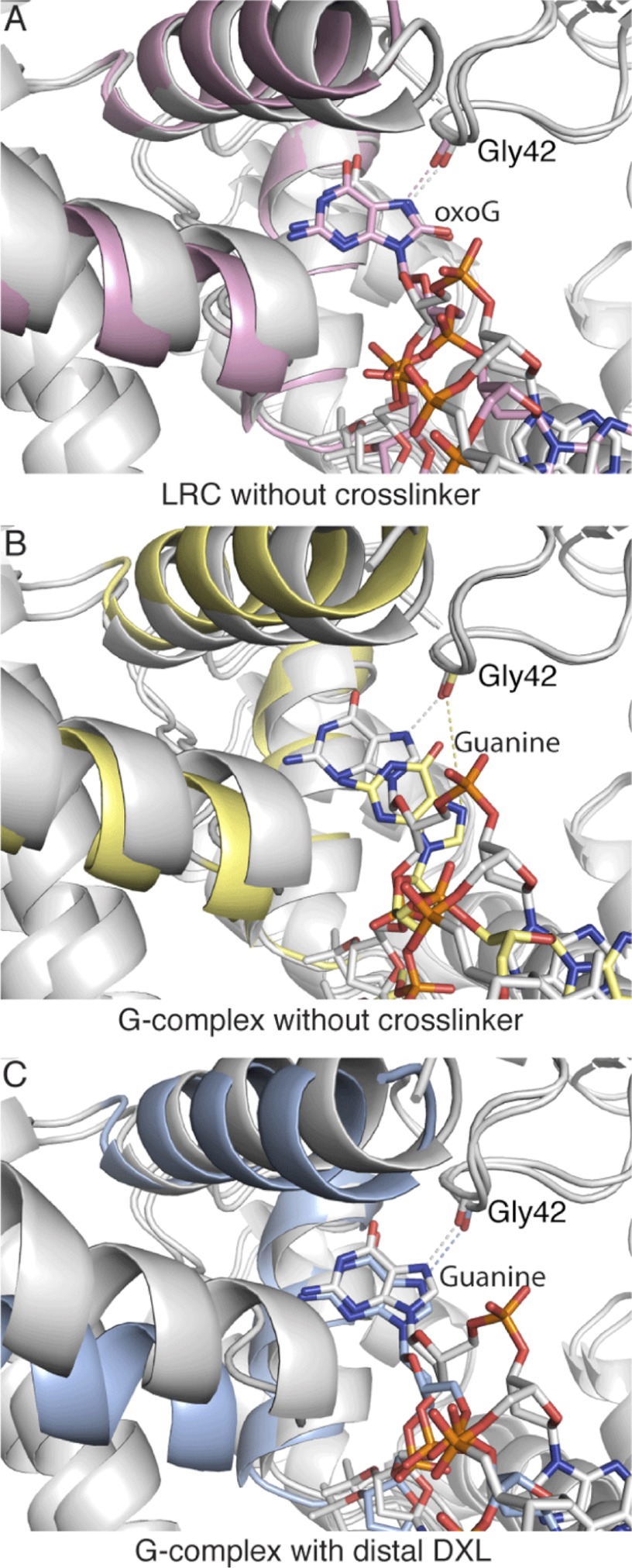 FIGURE 4.