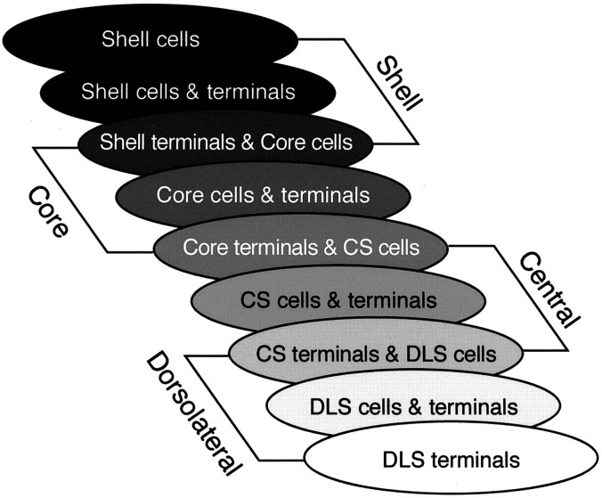 Fig. 11.