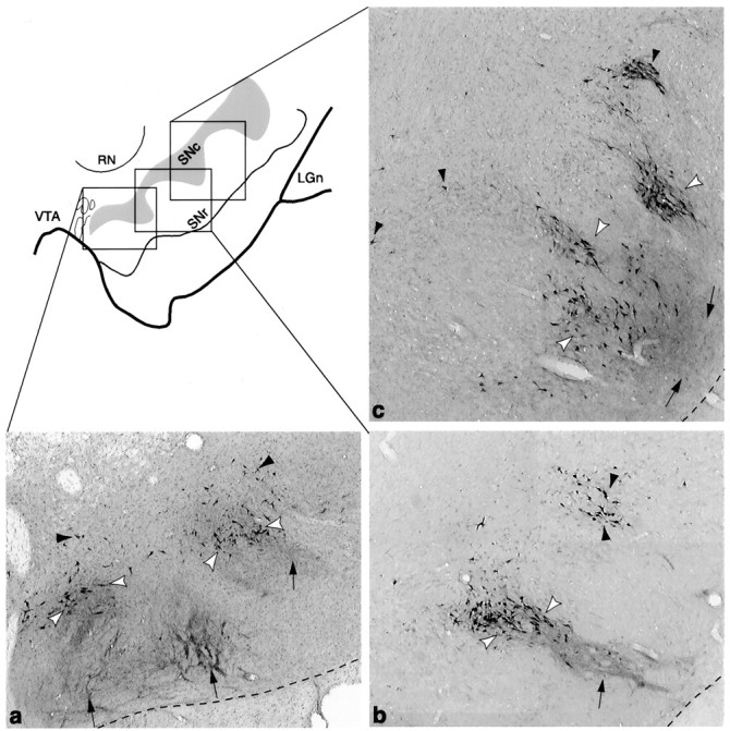 Fig. 10.